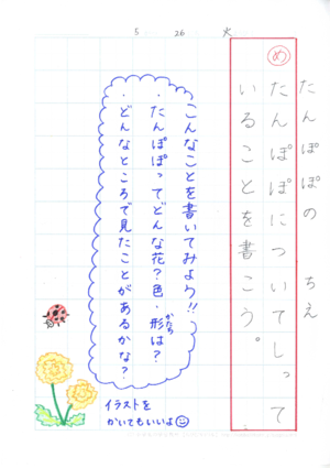 ２年生 港区立青山小学校