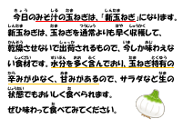 5月14日　新玉ねぎ.pdfの1ページ目のサムネイル