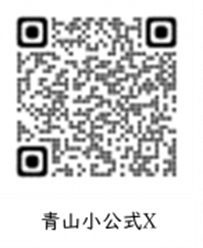 公式X