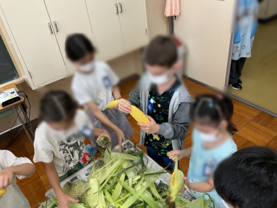 1・2年生　とうもろこし2
