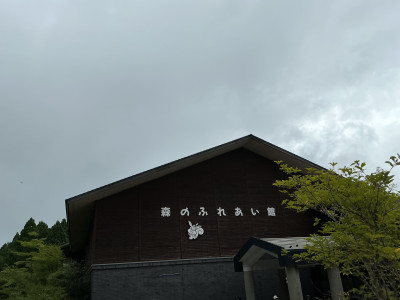 Image (9)